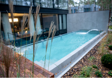 Progetto individuale di sauna, piscina esterna, dispositivo di erogazione e idromassaggio
