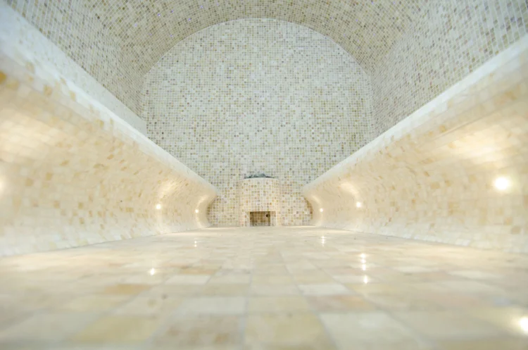 Quale è meglio - sauna secca o a vapore?