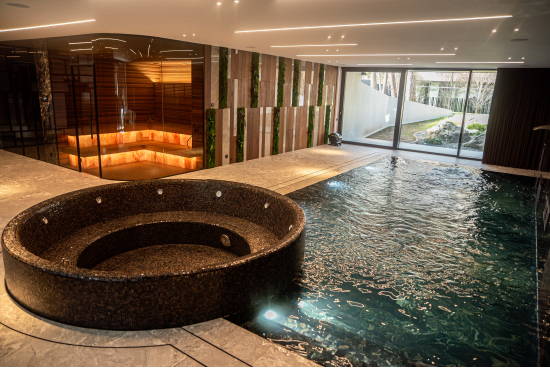 Progetto di sauna a infrarossi privata e piscina - Altri progetti
