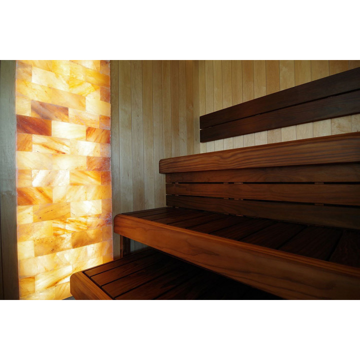 Mattoni di sale himalayano levigati con intaglio 200x100x50mm