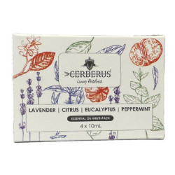 TYLOHELO set di aromi per sauna 4x10ml  TYLOHELO set di aromi per sauna 4x10ml