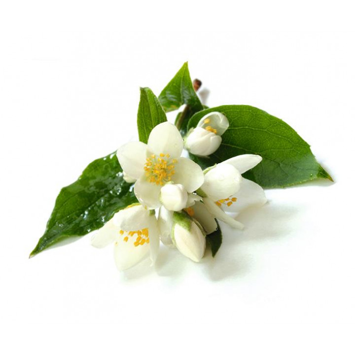 Sentiotec Sauna aroma concentrato, fiore di gelsomino