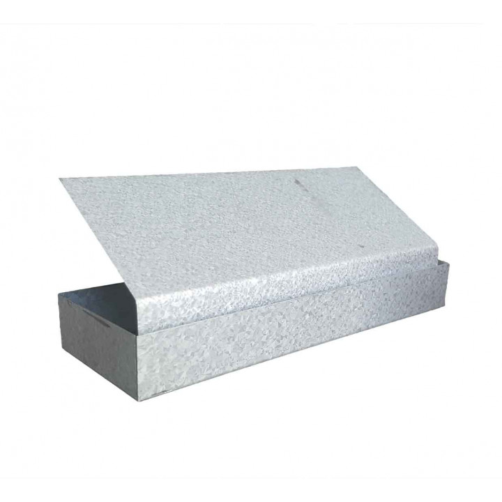 Spina