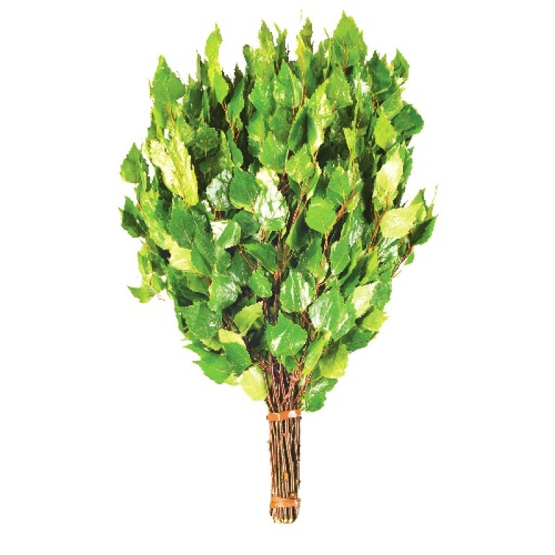 Frusta di betulla con erbe aromatiche