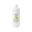 ELIGA bagno turco profumo MENTA, 1l - 0