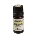 Olio essenziale per sauna 5 ml 12968 - 2