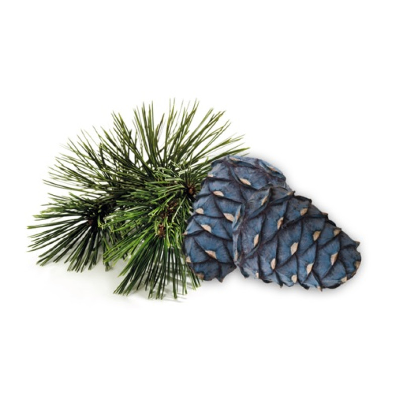 Concentrato di profumo per sauna HARVIA, pino cembro 1 l