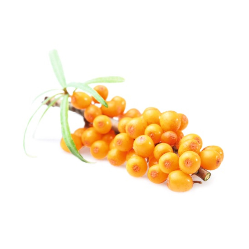 Concentrato profumato per sauna HARVIA, olivello spinoso 1 l