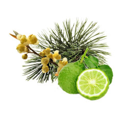 Concentrato di profumo per sauna HARVIA, pino cembro, bergamotto e litsea cubeba 1 l  Concentrato di profumo per sauna HARVIA, pino cembro, bergamotto e litsea cubeba 1 l