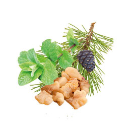 Concentrato di profumo per sauna HARVIA, menta piperita, pino, incenso e mirra 1 l  Concentrato di profumo per sauna HARVIA, menta piperita, pino, incenso e mirra 1 l