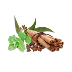 Concentrato di profumo per sauna HARVIA, spezie e menta 1 l  Concentrato di profumo per sauna HARVIA, spezie e menta 1 l