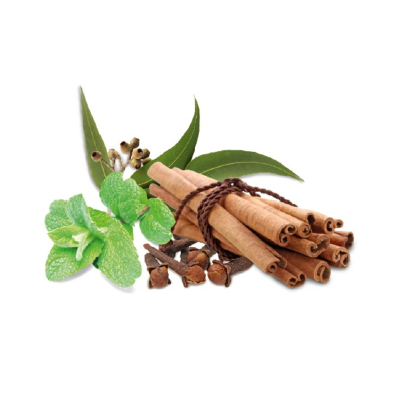 Concentrato di profumo per sauna HARVIA, spezie e menta 1 l