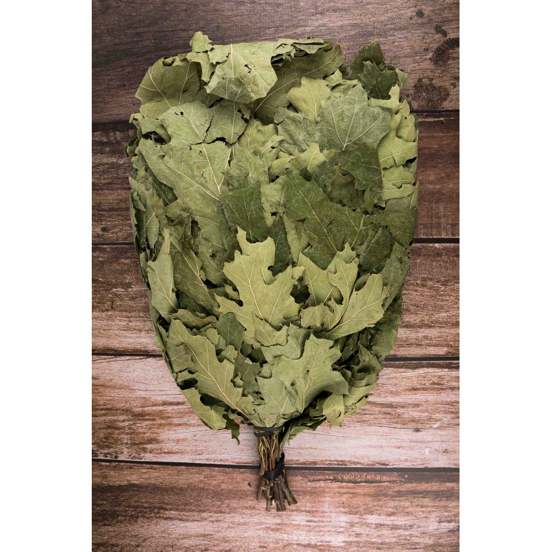 Scopa di quercia canadese