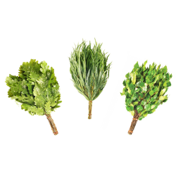 3 frusta per sauna