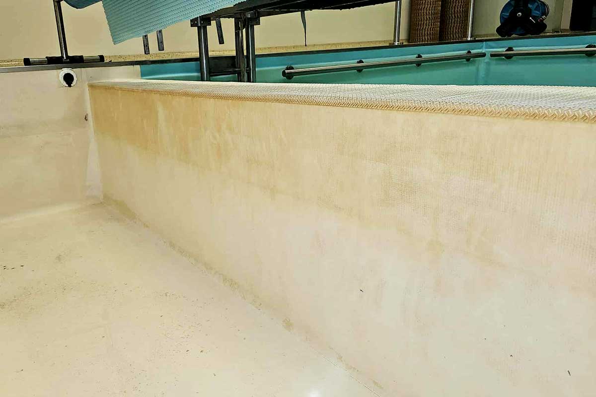 Sporco e depositi visibili sulle pareti esterne della piscina rettangolare