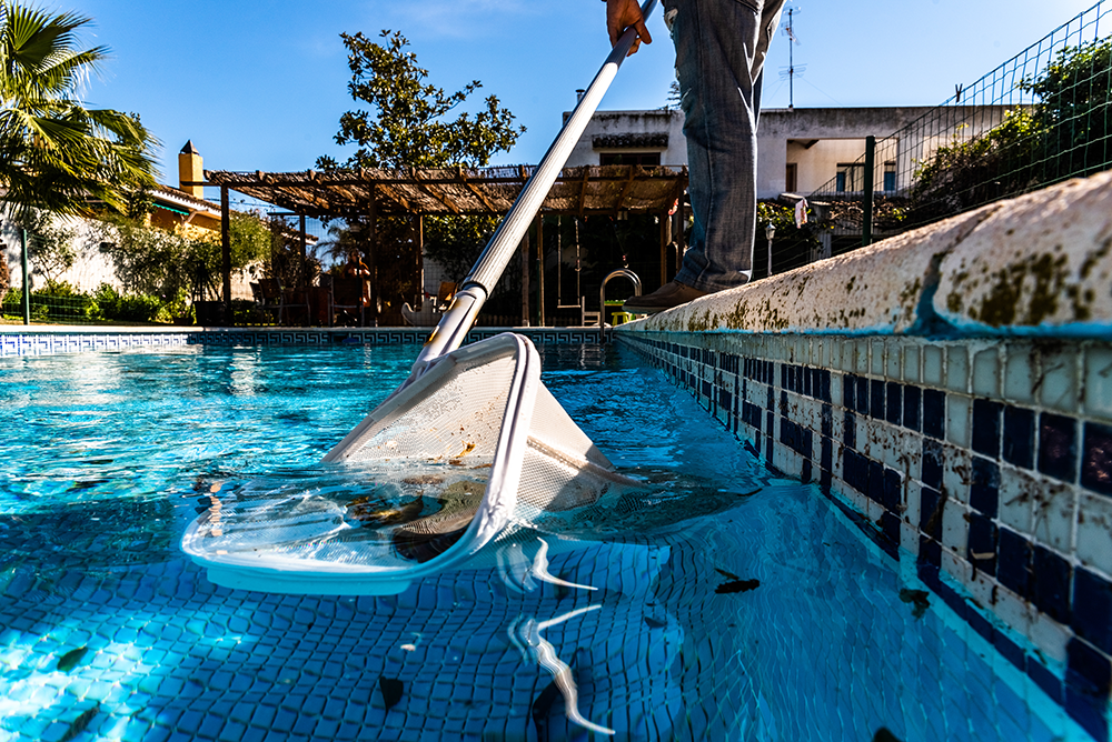piscina sporca