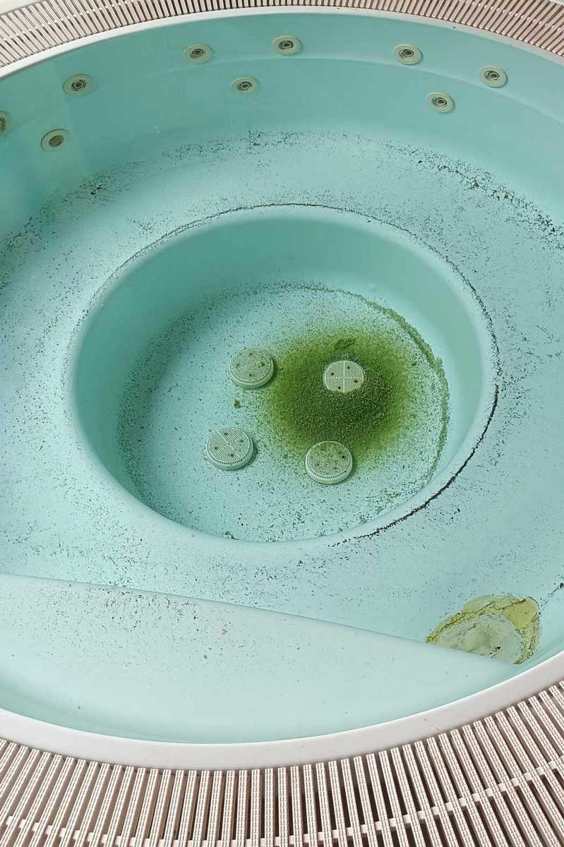 Sporco della piscina causato dalla negligenza, che è difficile da pulire ma possibile