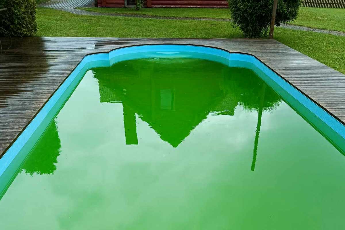 Piscina all'aperto con acqua verde brillante e ricoperta di vegetazione, che mostra una superficie dell'acqua trascurata e invasa dalla vegetazione.