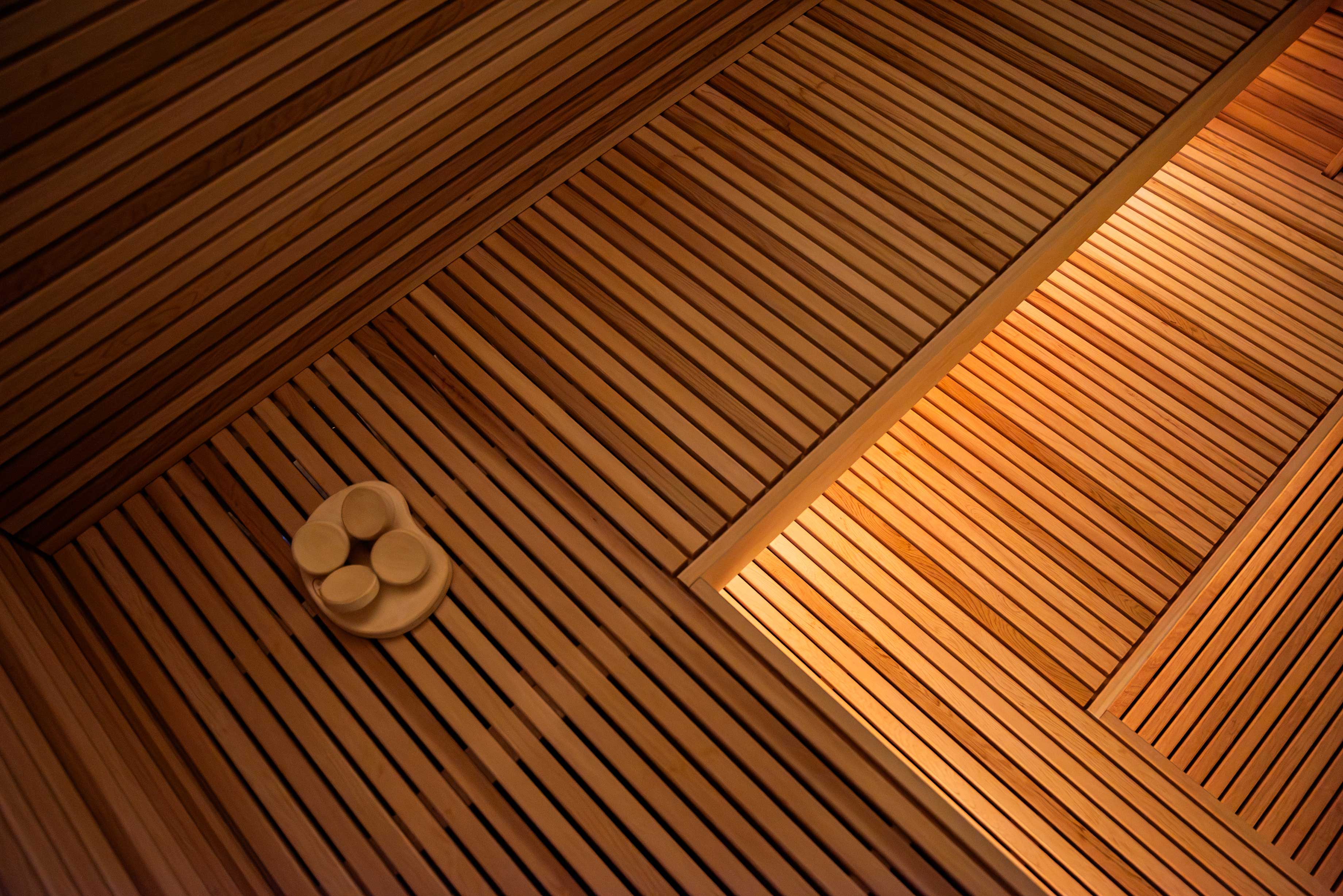 Progetto di sauna a infrarossi privata e piscina
