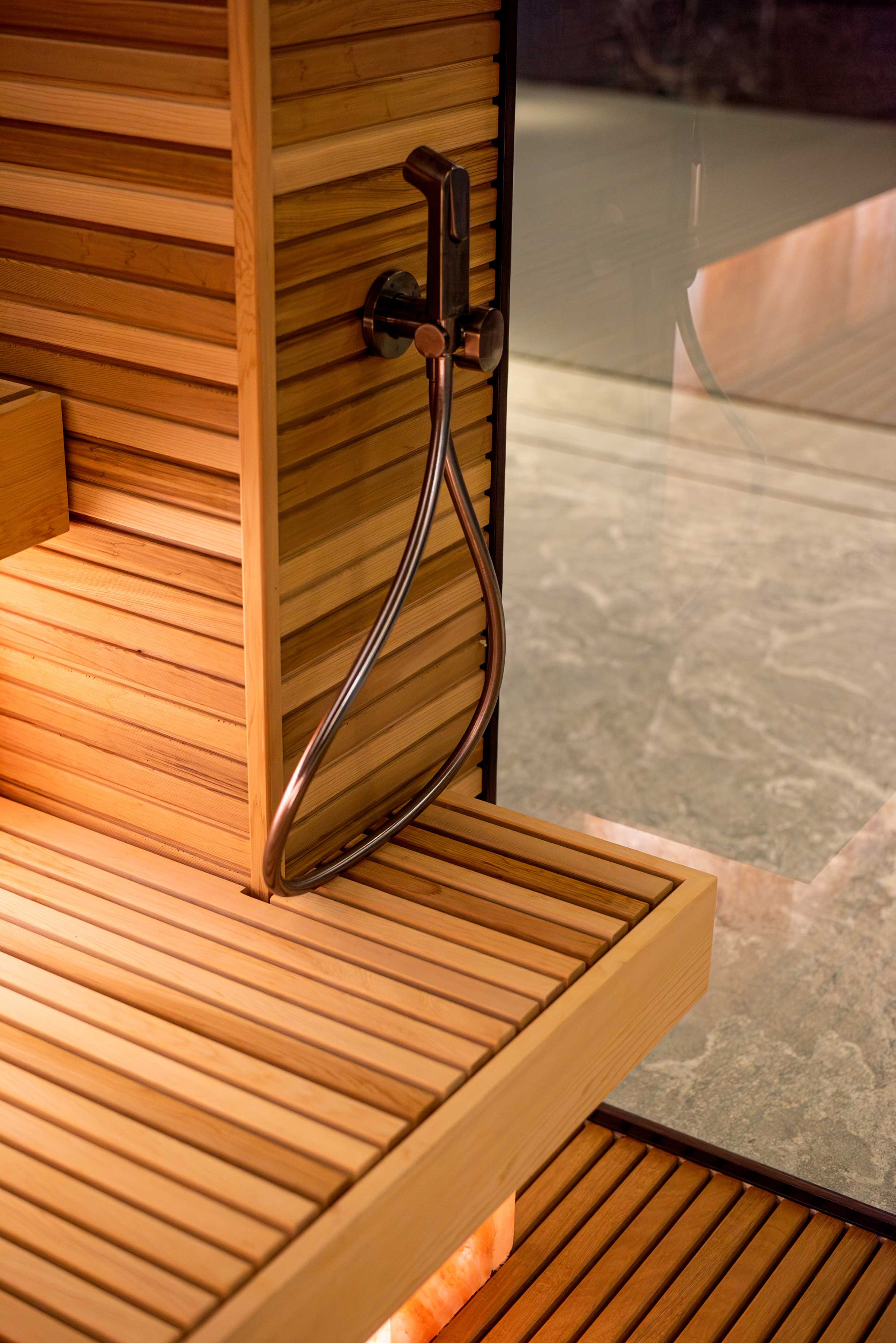 Progetto di sauna a infrarossi privata e piscina