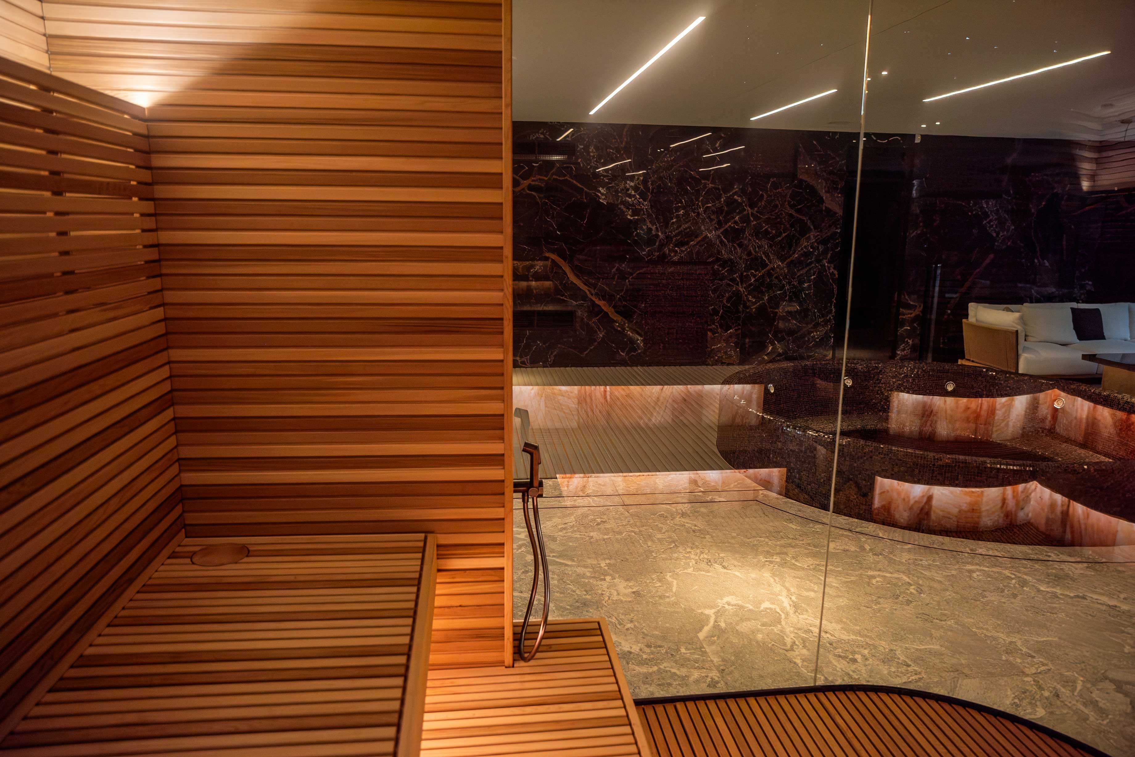Progetto di sauna a infrarossi privata e piscina