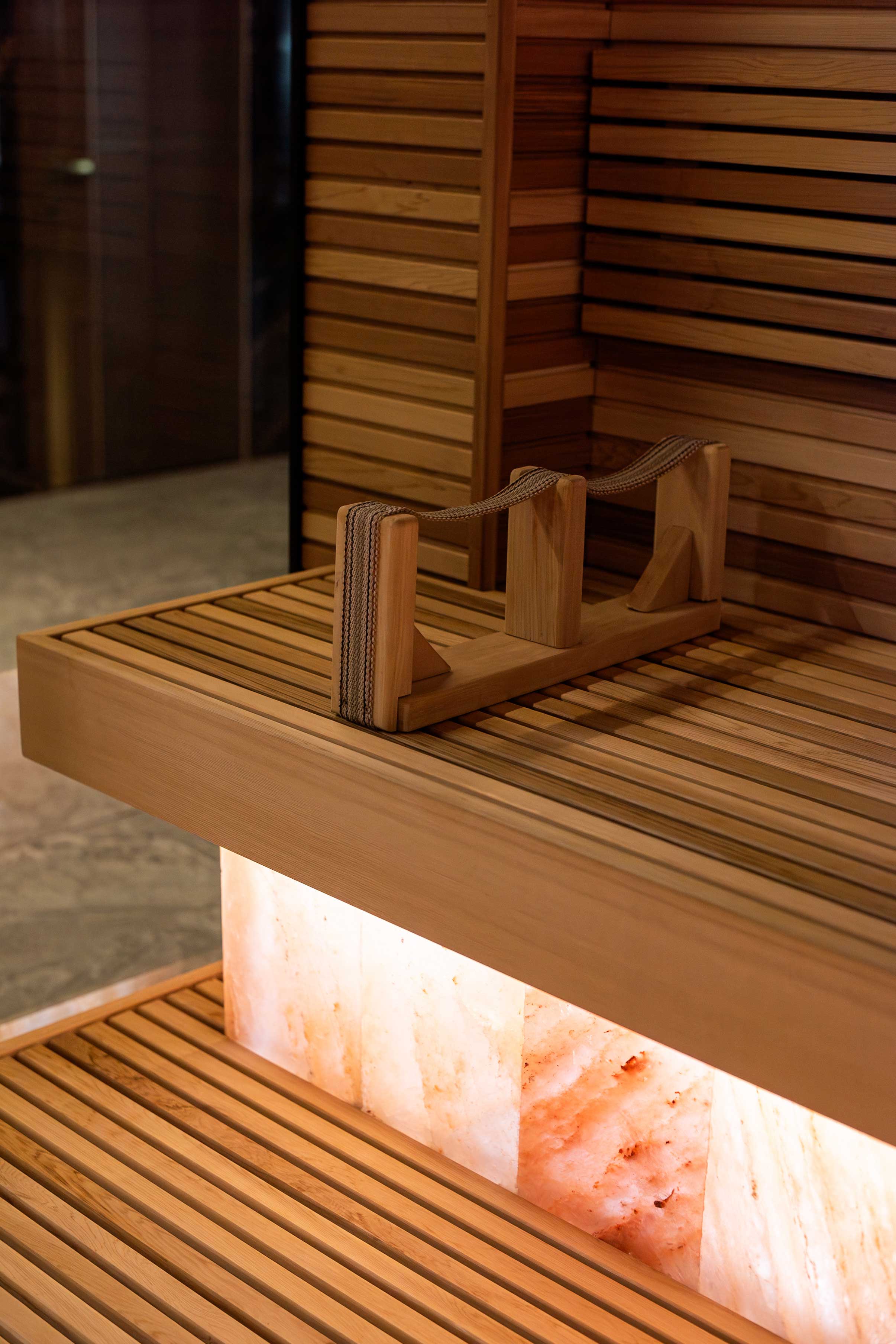 Progetto di sauna a infrarossi privata e piscina