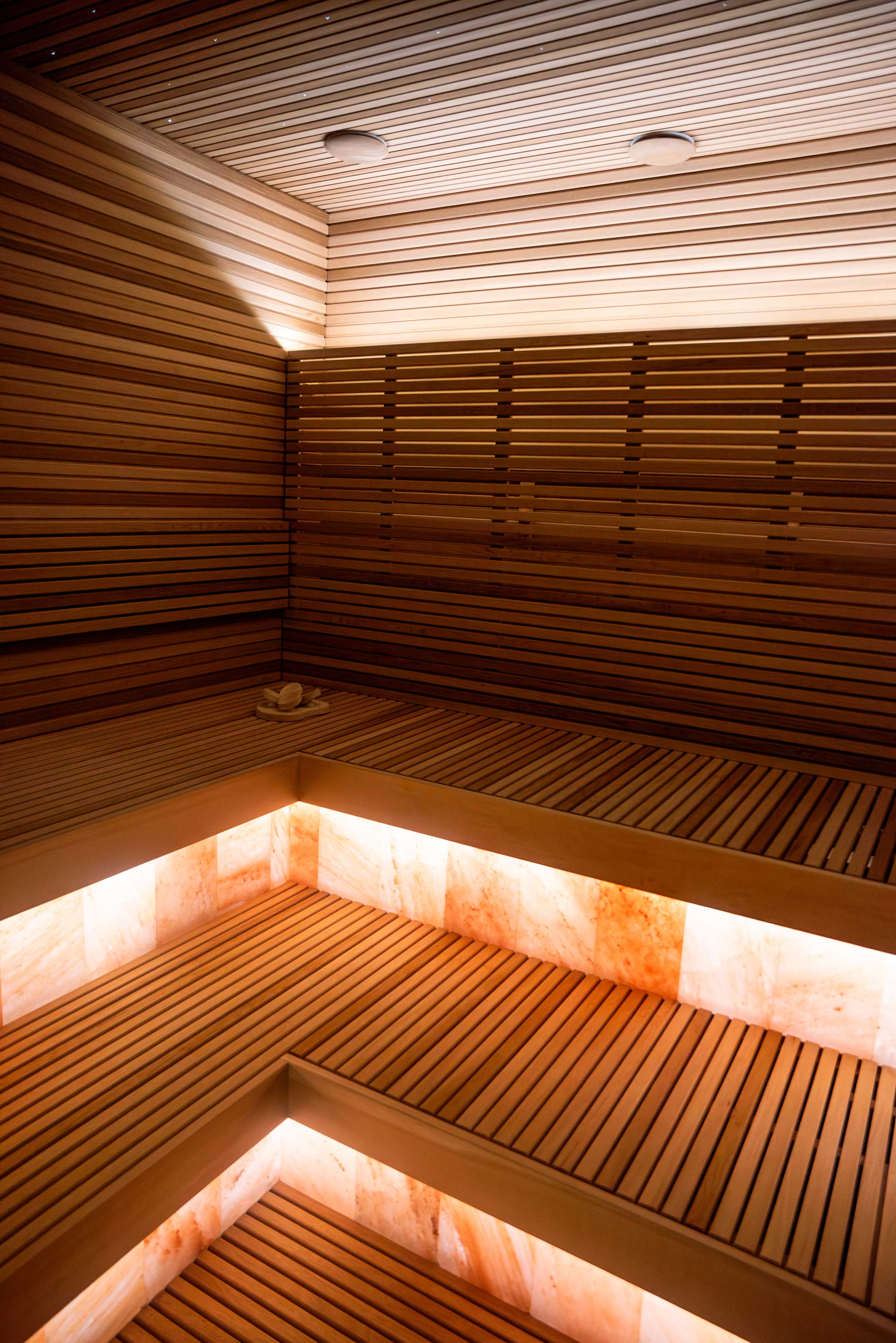 Progetto di sauna a infrarossi privata e piscina