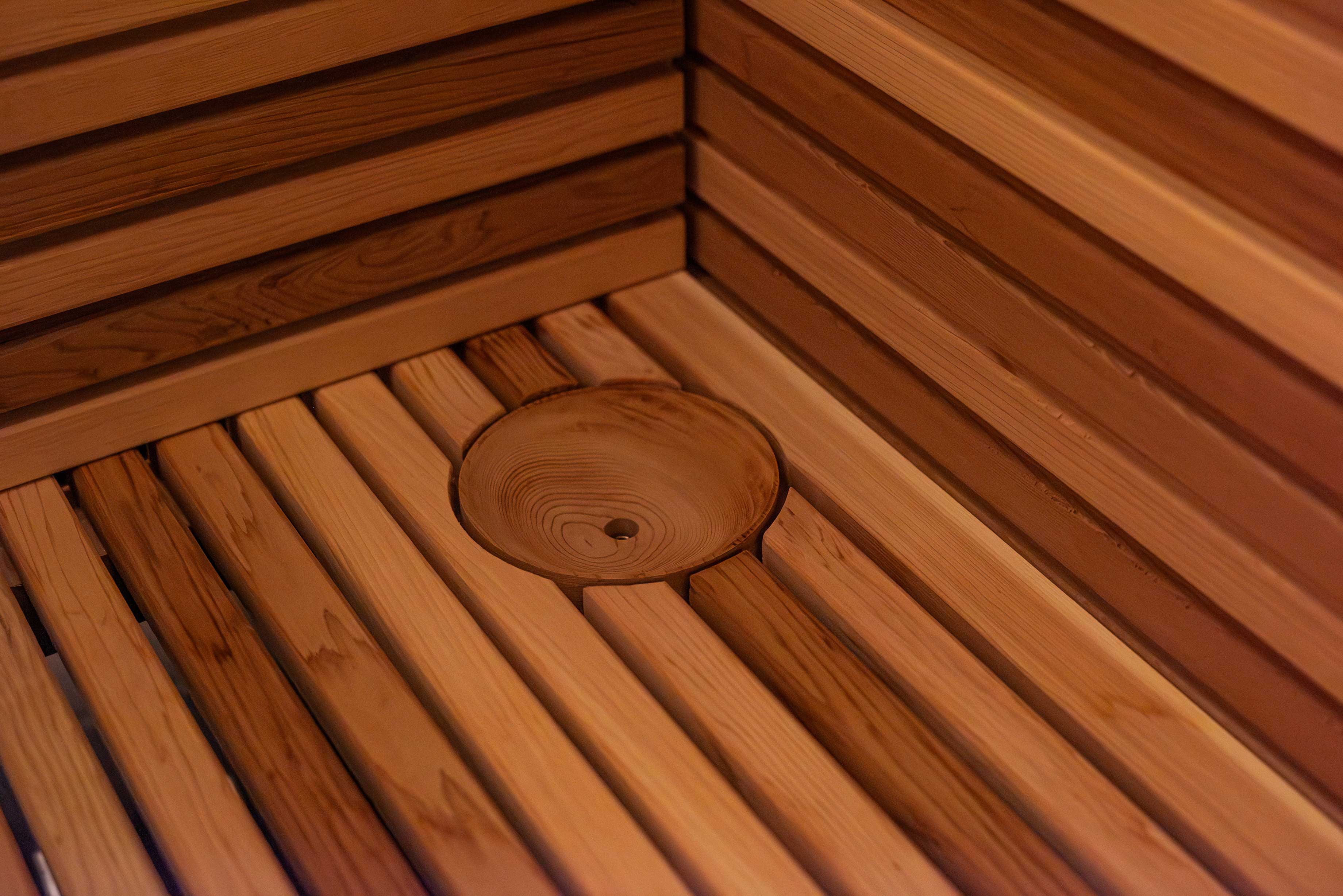 Progetto di sauna a infrarossi privata e piscina